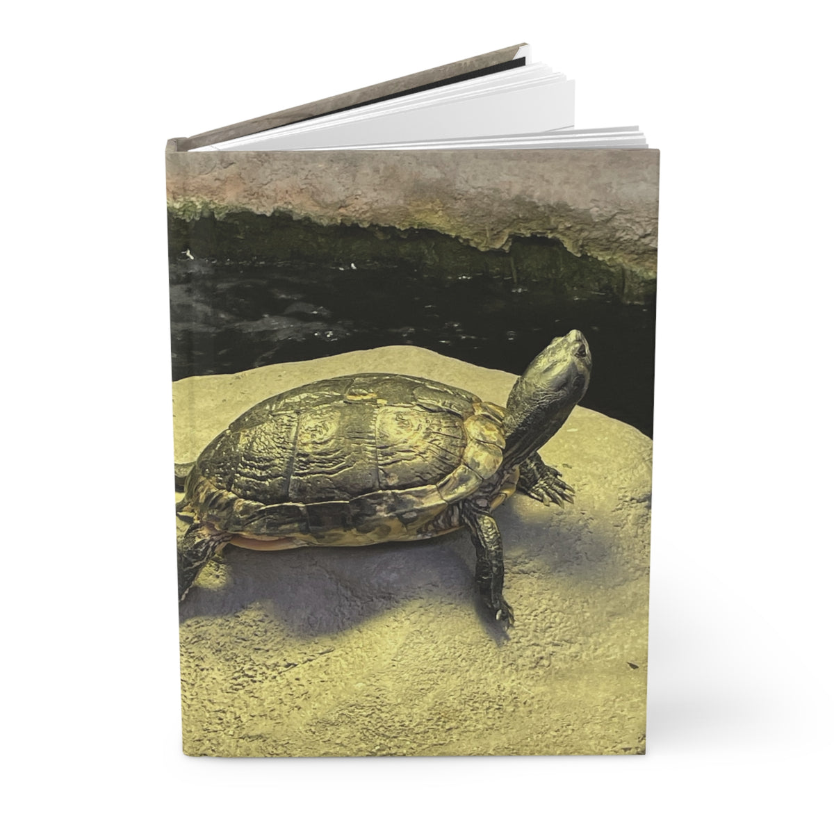 Turtle Hardcover Journal — Nature Photography Lined Notebook