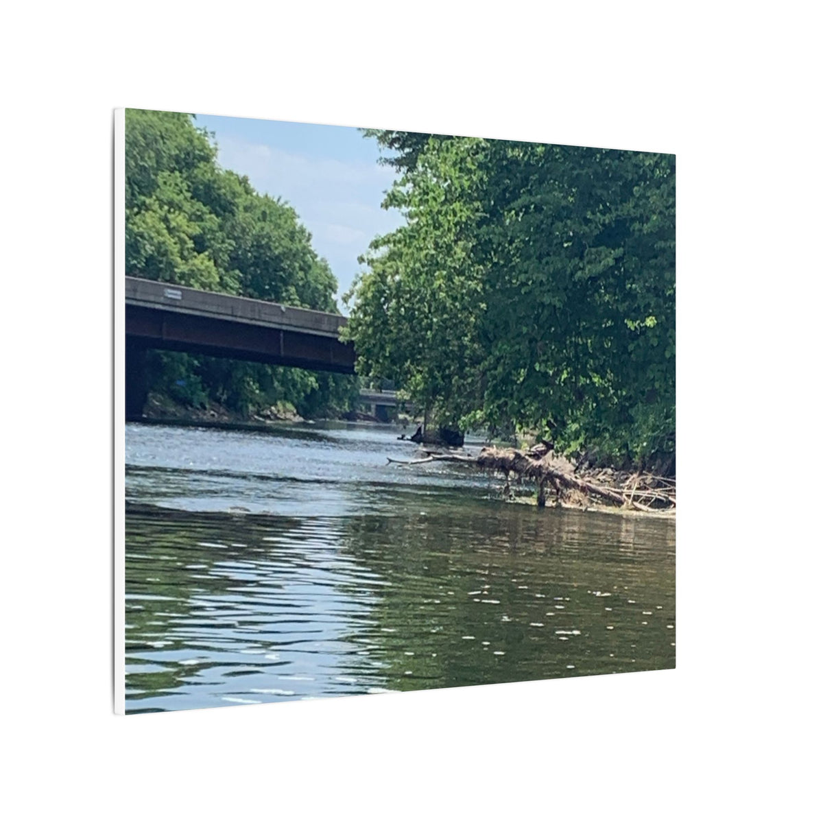 Riverside Retreat – Original Nature Photography Canvas | Wild Roam Co.