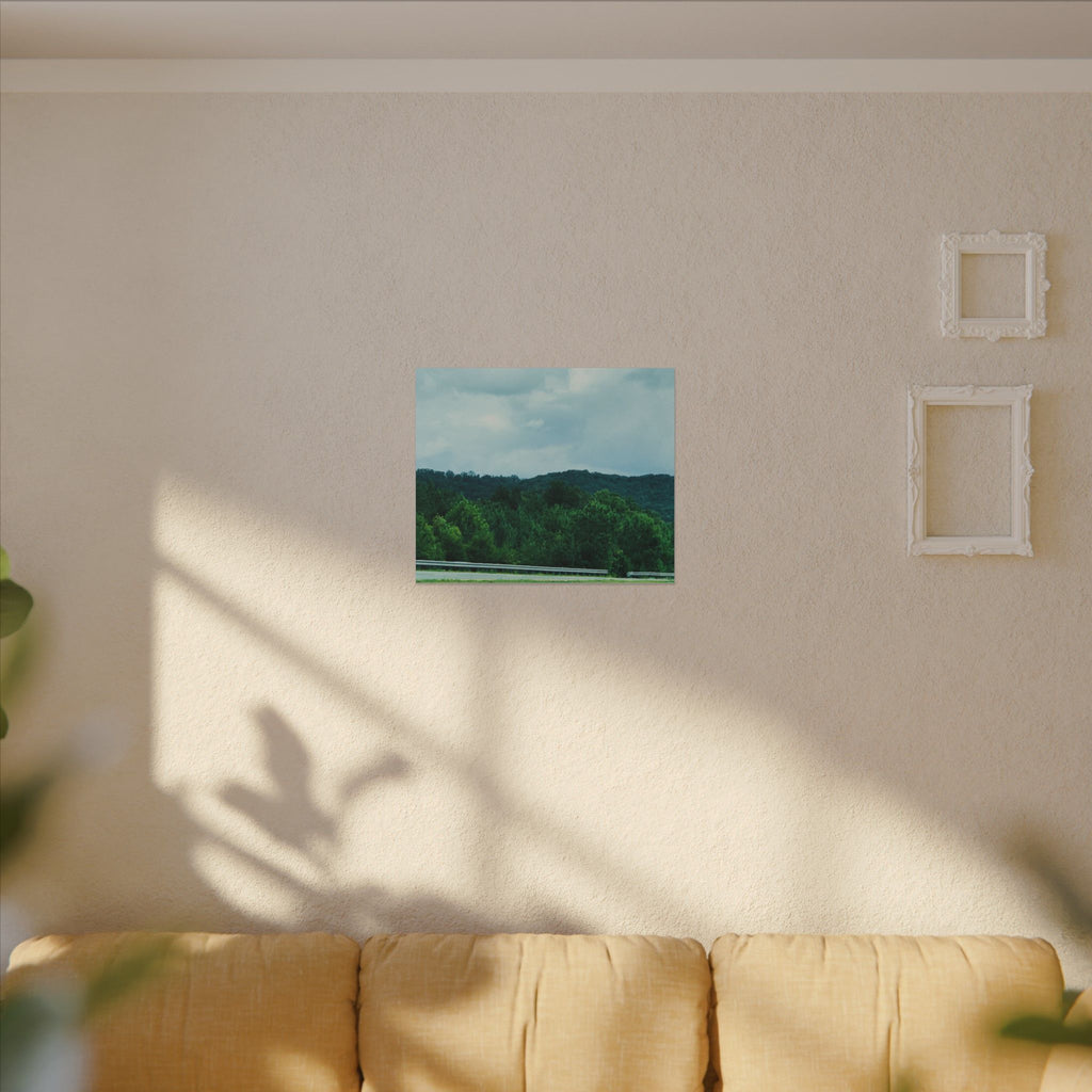 Beyond the Treetops – Original Nature Photography Canvas | Wild Roam Co.