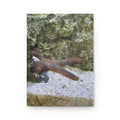 Sea Star Hardcover Journal — Ocean Nature Photography Lined Notebook