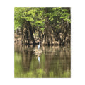Stillness in the Cypress – Original Photography Canvas – Wild Roam Co.