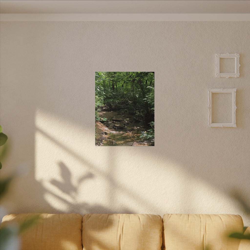 Whispers of the Woodland – Original Nature Photography Canvas-Wild Roam Co