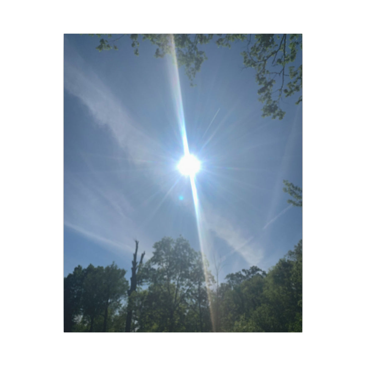 Heaven’s Radiance – Original Nature Photography Canvas | Wild Roam Co.
