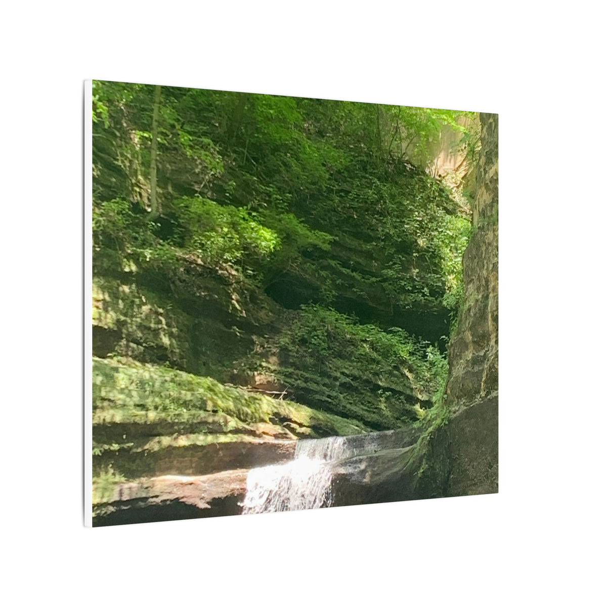 Hidden Waters – Original Nature Photography Canvas | Wild Roam Co.