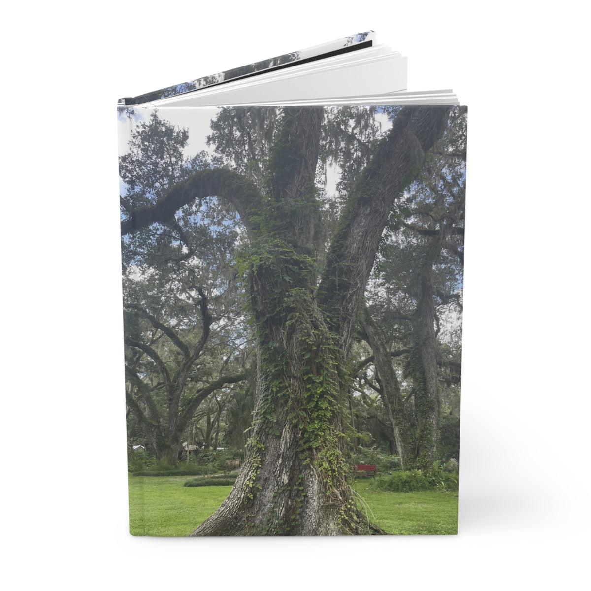 Oak Tree Hardcover Journal — Lined Matte Notebook for Nature Lovers
