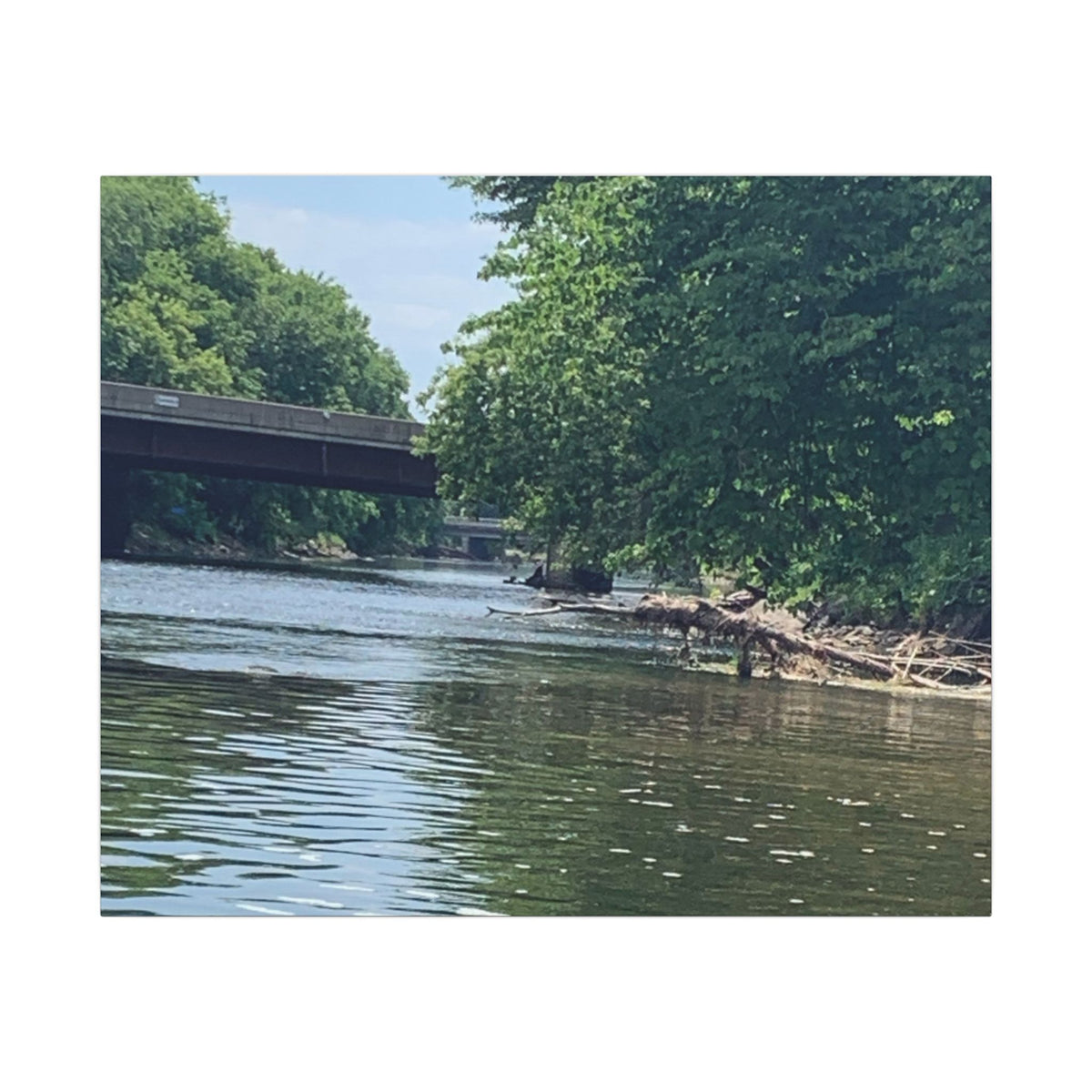 Riverside Retreat – Original Nature Photography Canvas | Wild Roam Co.