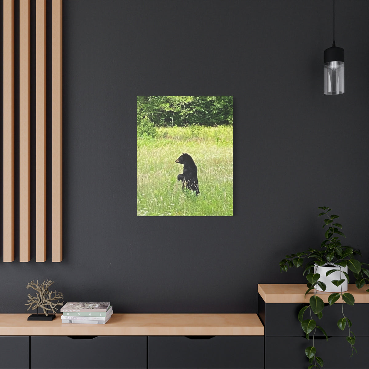 Standing Tall in Cades Cove – Original Photography Canvas – Wild Roam Co.
