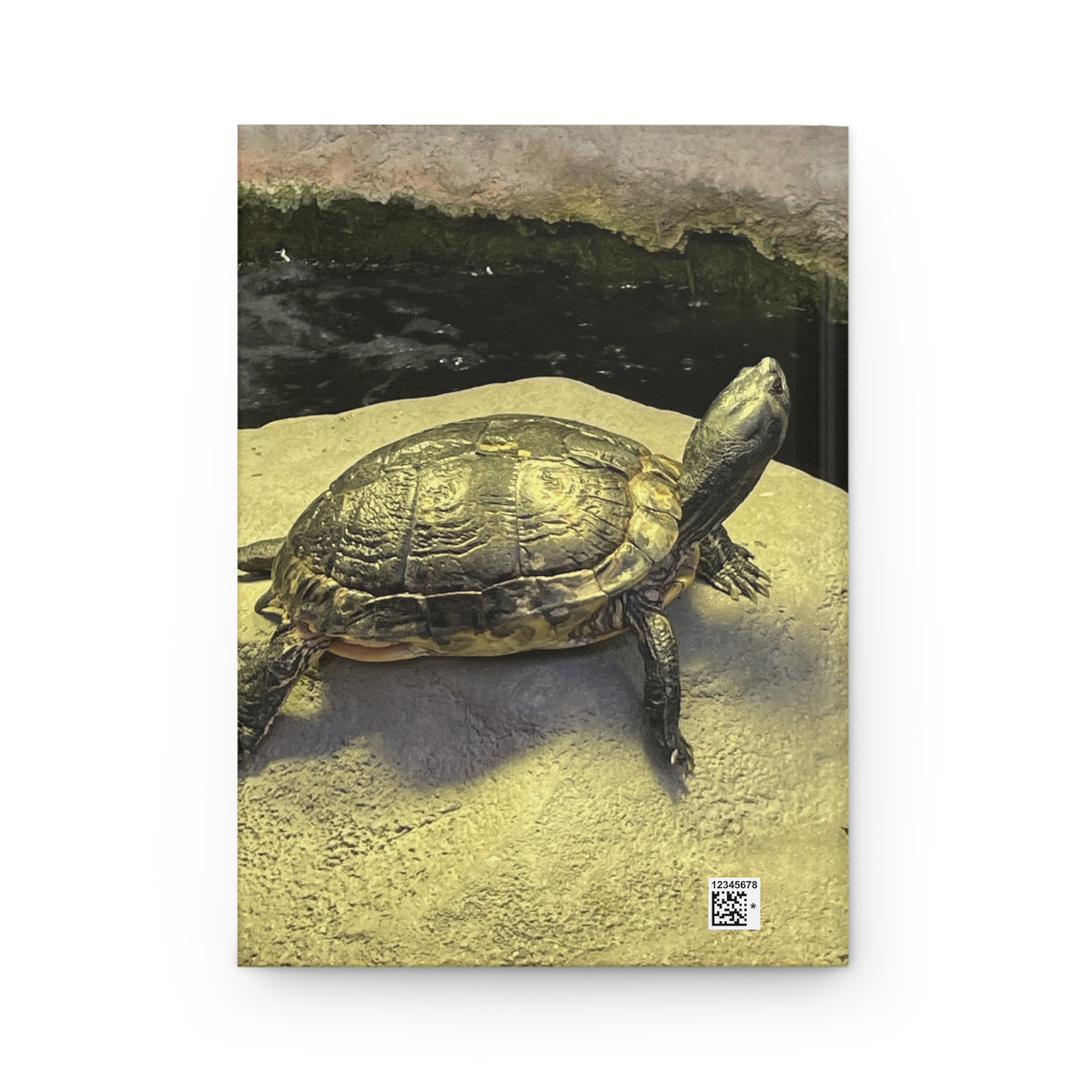 Turtle Hardcover Journal — Nature Photography Lined Notebook