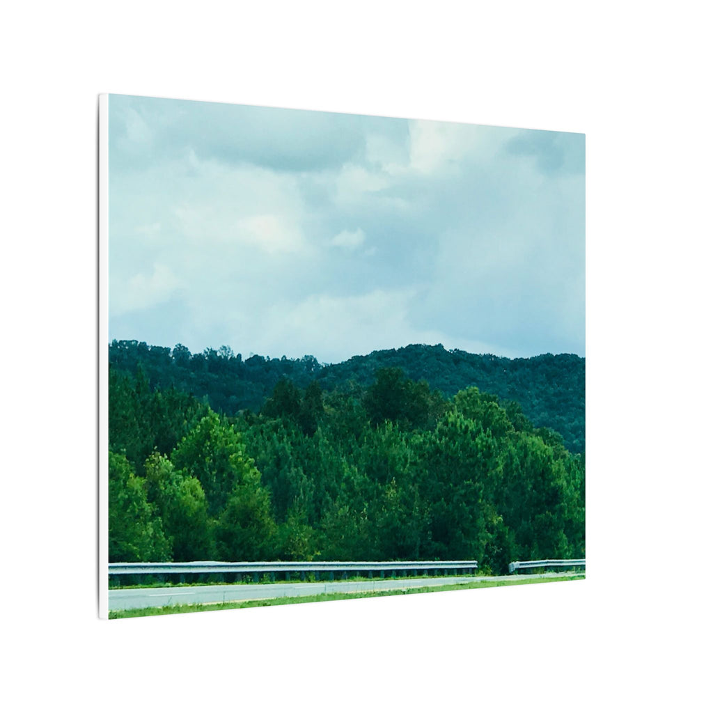 Beyond the Treetops – Original Nature Photography Canvas | Wild Roam Co.