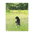 Standing Tall in Cades Cove – Original Photography Canvas – Wild Roam Co.