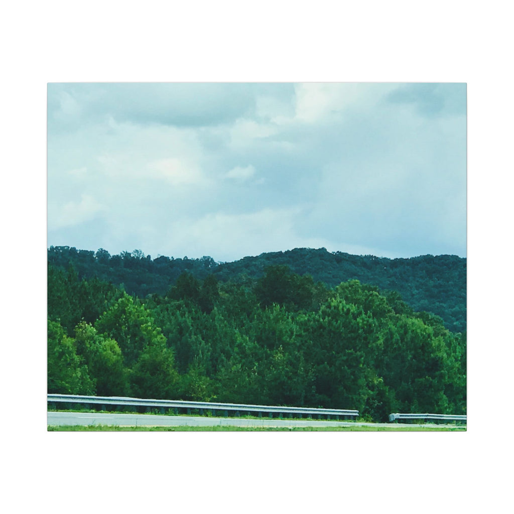 Beyond the Treetops – Original Nature Photography Canvas | Wild Roam Co.