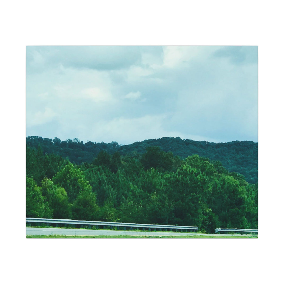 Beyond the Treetops – Original Nature Photography Canvas | Wild Roam Co.