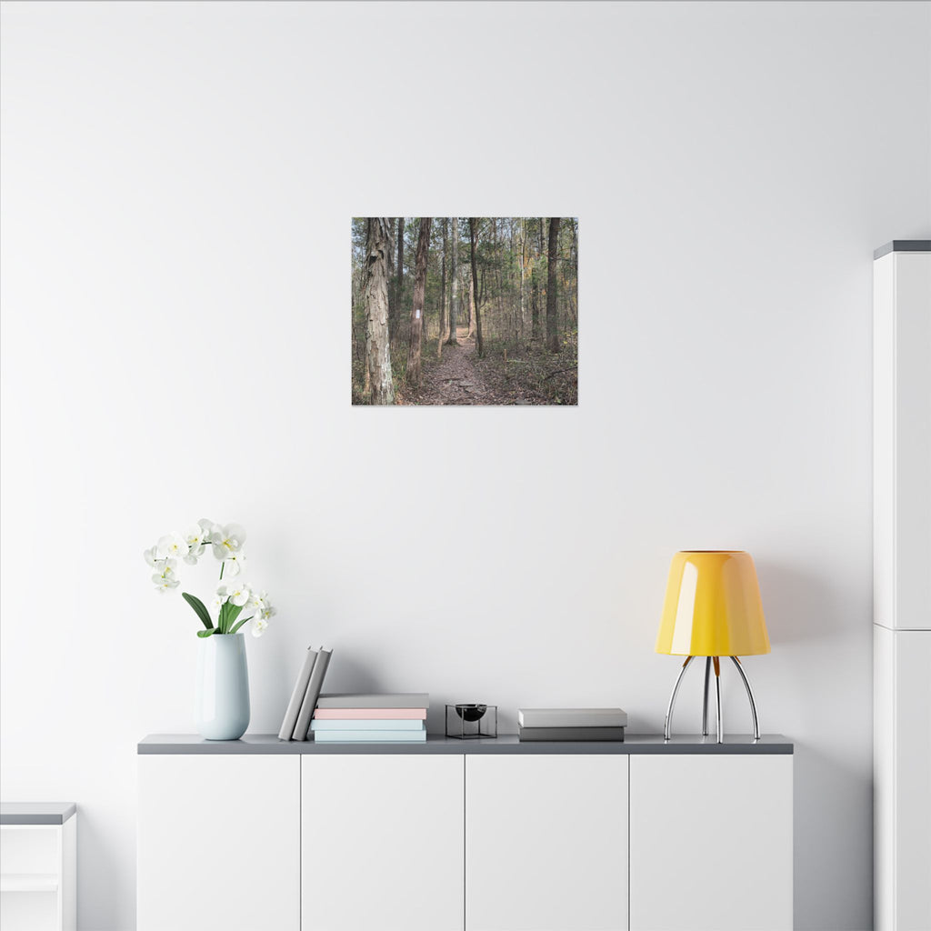 The Path Less Traveled – Original Nature Photography Canvas