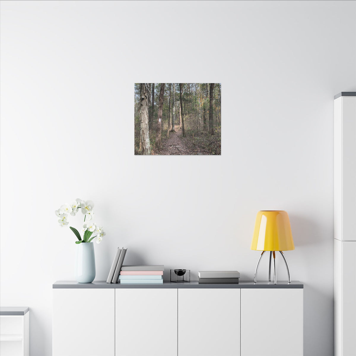 The Path Less Traveled – Original Nature Photography Canvas