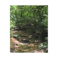 Whispers of the Woodland – Original Nature Photography Canvas-Wild Roam Co