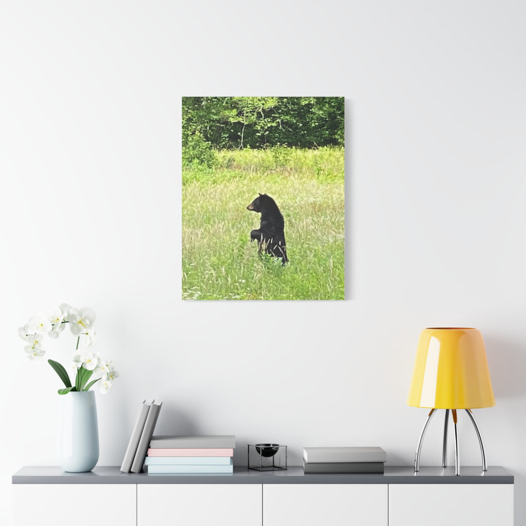 Standing Tall in Cades Cove – Original Photography Canvas – Wild Roam Co.