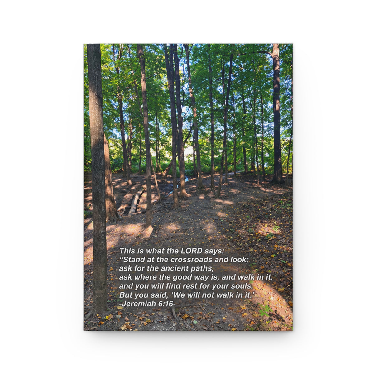 Inspirational Woodland Journal — Jeremiah 6:16 Lined Hardcover