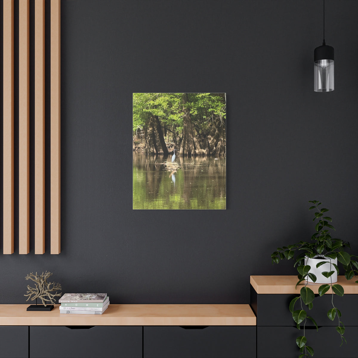 Stillness in the Cypress – Original Photography Canvas – Wild Roam Co.