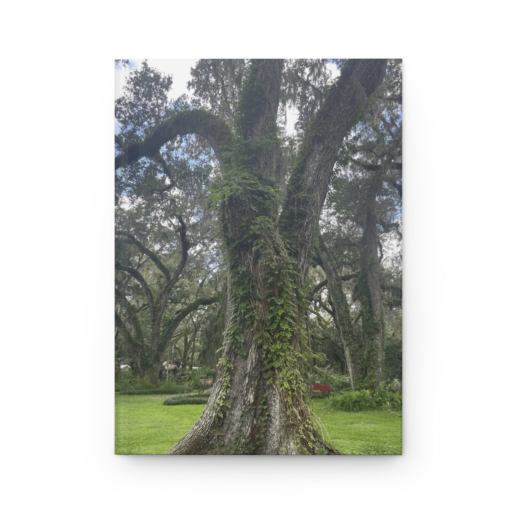 Oak Tree Hardcover Journal — Lined Matte Notebook for Nature Lovers