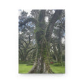 Oak Tree Hardcover Journal — Lined Matte Notebook for Nature Lovers