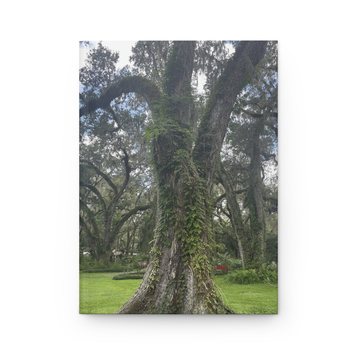 Oak Tree Hardcover Journal — Lined Matte Notebook for Nature Lovers