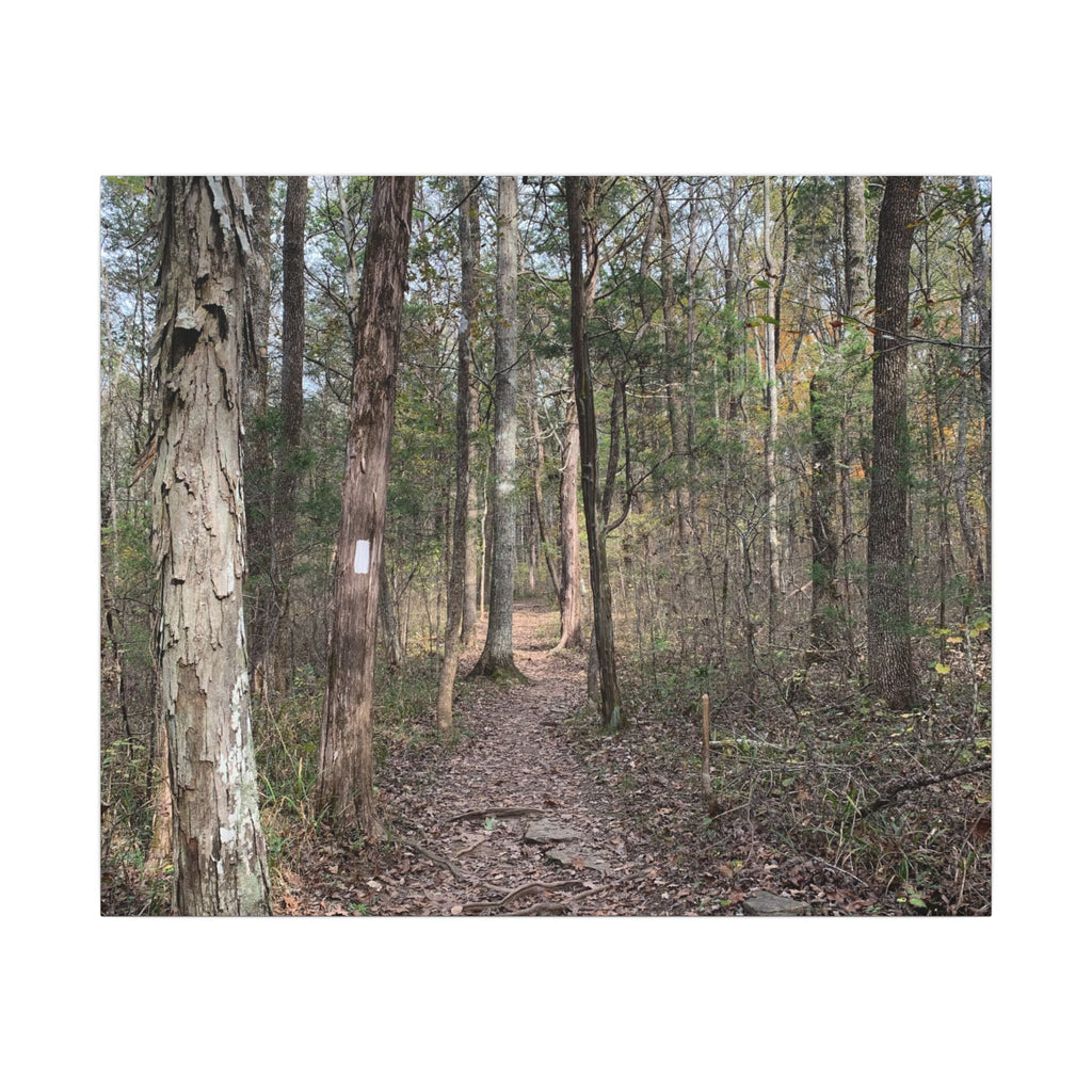 The Path Less Traveled – Original Nature Photography Canvas
