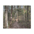 The Path Less Traveled – Original Nature Photography Canvas