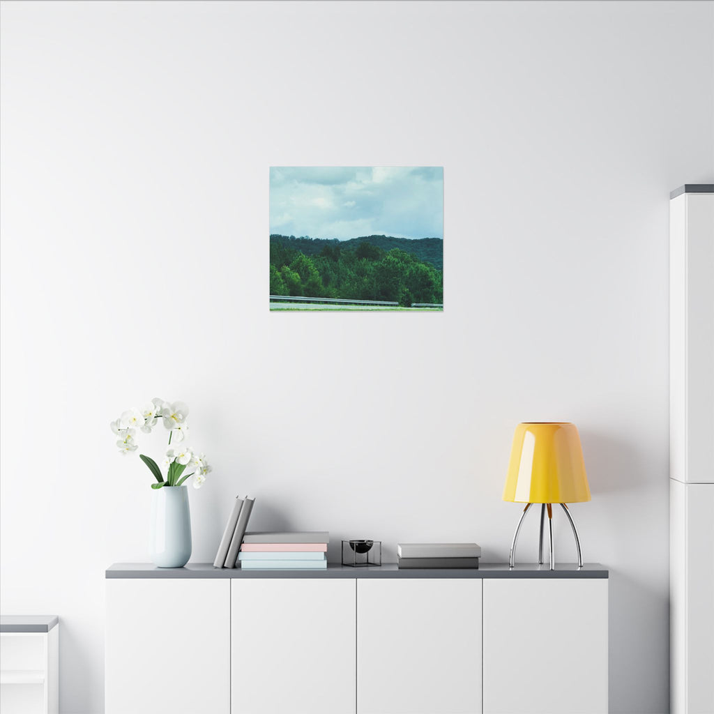 Beyond the Treetops – Original Nature Photography Canvas | Wild Roam Co.