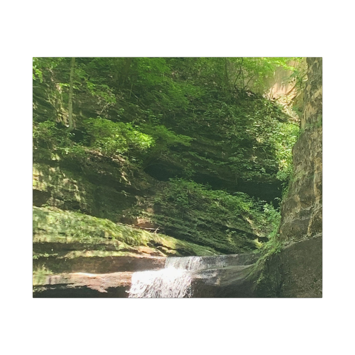 Hidden Waters – Original Nature Photography Canvas | Wild Roam Co.